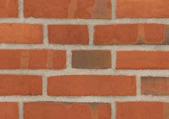 RT 406 Rotbunt geflammt DKNF,DERF