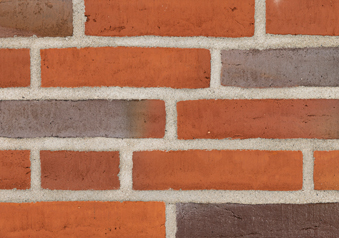 RT 436 Rotbunt DKNF,UKNF