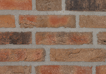 RT 445 Rotbunt Patina DKNF