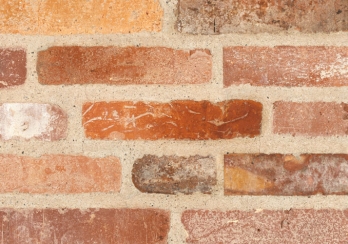 RT 243 ReClaimed Rot DKNF.