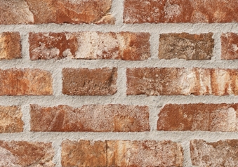 RT 455 Terracotta DKNF.